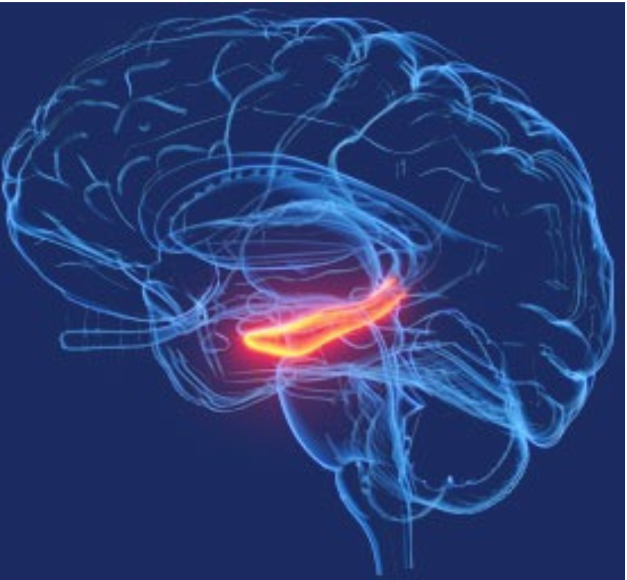 Billionaire Brain Wave Review