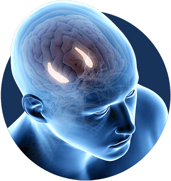 Billionaire Brain Wave